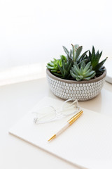 Gold and crystal pen with clear glasses sitting on calligraphy note pad next to succulents