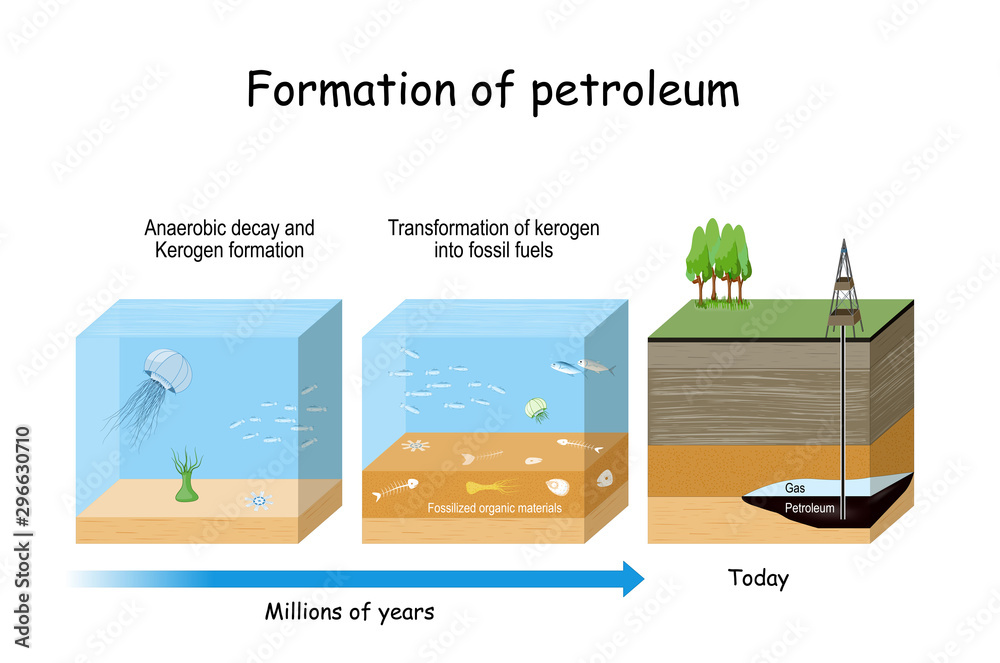 Formation Of Petroleum Oil And Gas Formation Stock Vector Adobe Stock