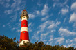 Red and white lighthouse with trees in the foreground and blue sky with puffy white clouds in the background
