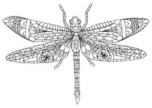 Dragonfly. Coloring Book For Kids And Adults. Coloring Page, Zen Art, Zentangle