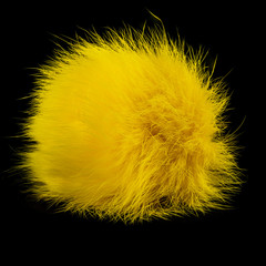 Closeup of yellow rabbit fur pompom isolated on black background