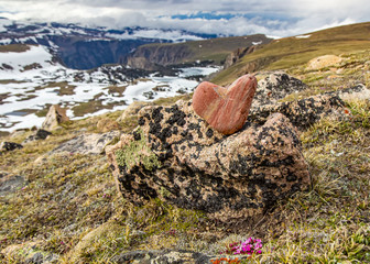 Beautiful, pink, heart-shaped stone in the wild