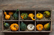 Colorful decorative gourds in a wood storage box on a rustic farm wood planks background