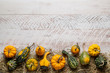 Colorful decorative gourds on rustic white wooden planks