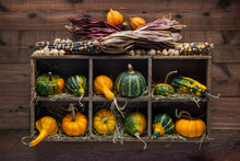 Colorful Decorative Gourds In A Wood Storage Box Mounted On Dark Wood Planks Wall