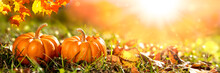Banner Of  Two Mini Pumpkins And Leaves In Grass At Sunset - Thanksgiving/Autumn