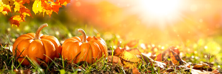 banner of two mini pumpkins and leaves in grass at sunset - thanksgiving/autumn