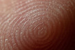 Macro shot of a man’s finger. The grooves forming the pattern. A unique skin pattern on the finger from which the fingerprint is made. Super Macro with high magnification.