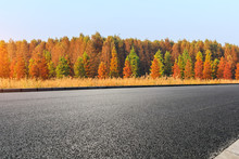 Empty Asphalt Road And Beautiful Colorful Forest In Autumn