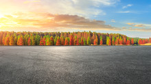 Empty Race Track Ground And Beautiful Colorful Forest Landscape In Autumn