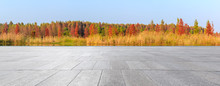 Empty Square Floor And Beautiful Colorful Forest In Autumn