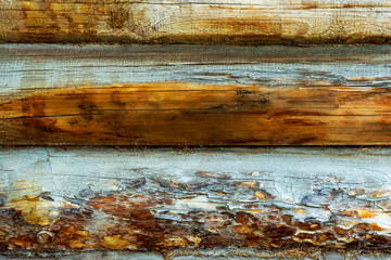 old wood background