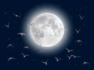 Wall Mural - silhouette of a flock of birds flying to the moon