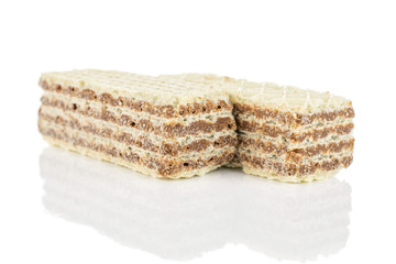 Group of two whole crispy beige hazelnut wafer cookie isolated on white background