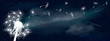 Fluff dandelion in the universe. Space background. Fluffy dandelion in the background of the universe. Shining stars and nebula. Night starry sky