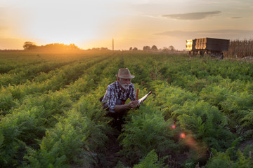 Sticker - Farmer holding carrot in field