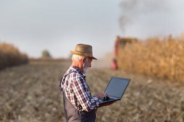 Wall Mural - Farmer with laptop at corn harvest