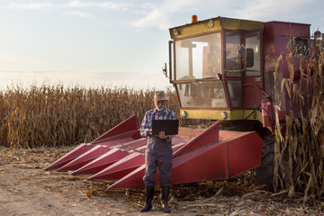 Wall Mural - Farmer with laptop at corn harvest