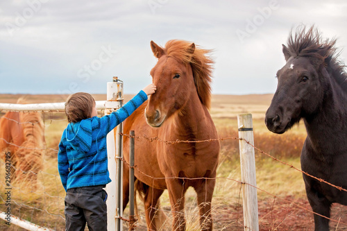 Fotografía Beautiful child and horses in the nature, early in the morning on a windy autumn
