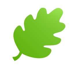 green leaf icon on white 