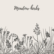 Seamless floral background with hand drawn wild flowers, herbs and grasses