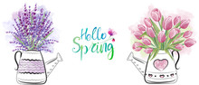 Beautiful Watering Can With Lavender And Tulips Flowers. Hello Spring Hand Drawn Watercolor Illustration