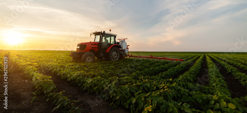 Cuadros en Lienzo Tractor spraying soybean field in sunset
