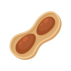 Poster - Peanut icon. Flat illustration of peanut vector icon for web design