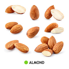 Almond isolated. Almonds on white background. Almond set. Full depth of field.