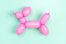 Balloon In The Form Of A Dog On A Pink Background.