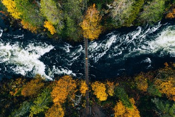 Wall Mural - Aerial view of river with suspension bridge in colorful autumn forest in Finland.