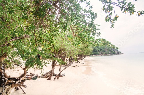 Cuadros en Lienzo Beautiful Haad Leela beach in Koh Phangan, Thailand
