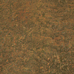 Canvas Print - rusty metal seamless texture