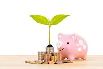 Piggy bank, and coin stack with tree leaves on white background, saving concept