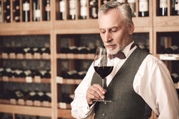 Wall Mural - Sommelier Concept. Senior man standing holding glass smelling wine closed eyes concentrated