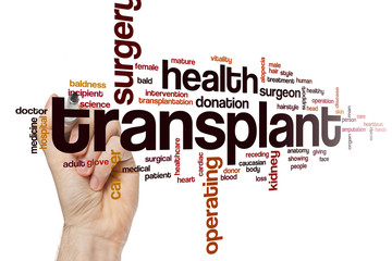 Wall Mural - Transplant word cloud