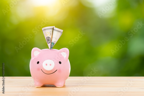 Fotomural Pink piggy bank on wooden desk with dollar banknote inserted, on green tree back