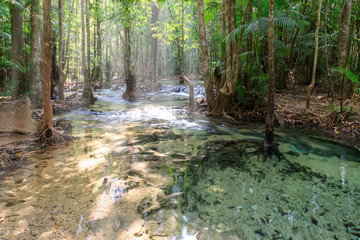 Crystal clear water stream and cascade near Emerald Pool in National Park, Krabi, Thailand