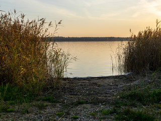 Wall Mural - evening view of the lake at sunset, calm and slow water