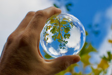 Man Hand Holding Lensball Crystal Ball In Autumn In Front Of Blue Sky With Green Yellow Ginko Biloba Leaves Blurred Background