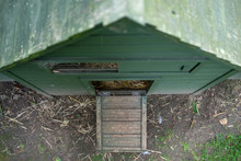 Top Down View Of The Front Of A Timber Chicken Coop Showing The Opened Main Entrance And Vent Slot. Situated In A Private Garden.