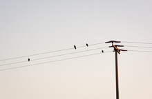 Birds And Antenna On Blue Sky Background