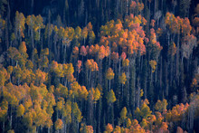 Southern Fall R Southern Fall Color Free Stock Photo - Public Domain Pictures
