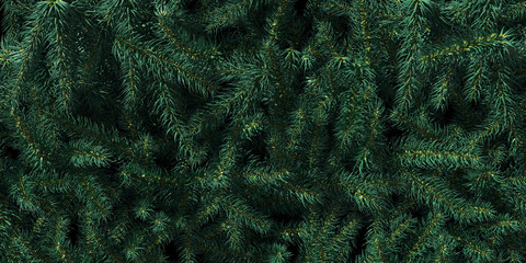 background of christmas tree branches. happy new year green theme background. 3d rendering.