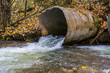 Perched and undersized culverts block fish migration in river in forest