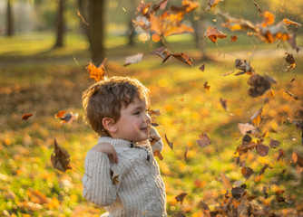 Wall Mural - Happy little child baby boy laughing and playing in the autumn