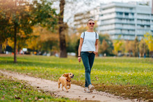 Woman Walking In The Park With A Dog In Autumn