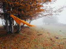 Orange Shawl Hanging On Autumn Tree