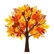 © naddya - Vector abstract autumn tree isolated on a white background.