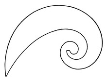 Logarithmic Spiral Curve French Curve Radius Curves By Using Points Vintage Engraving.